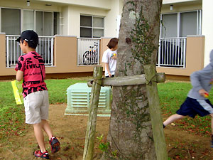 3�� �C�[�X�^�[