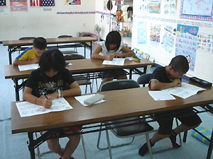 �����p��